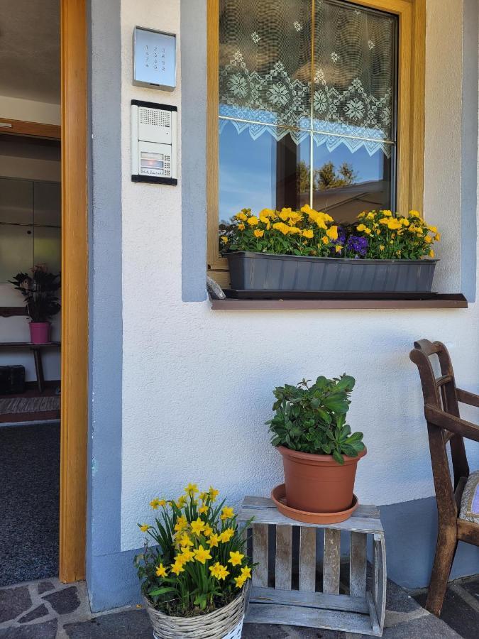 Ferienwohnung Schatz Breitenwang 外观 照片