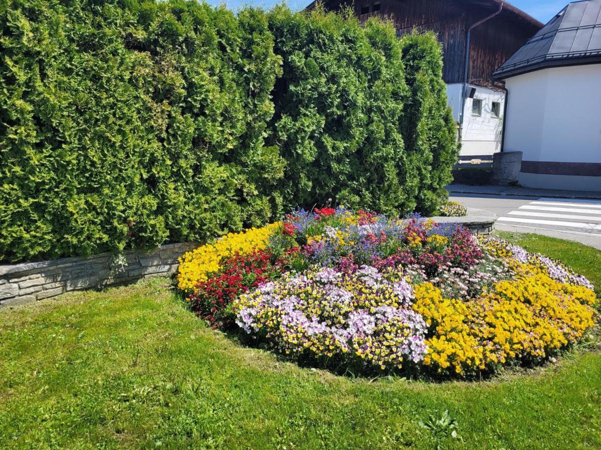 Ferienwohnung Schatz Breitenwang 外观 照片