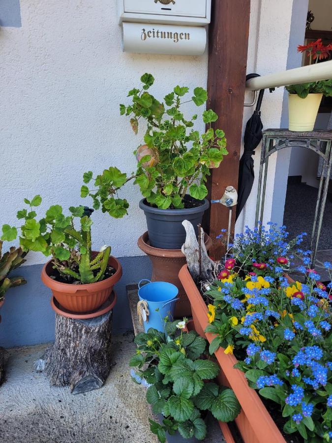 Ferienwohnung Schatz Breitenwang 外观 照片